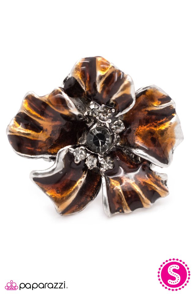Paparazzi ♥ Hymn For The Weekend - Brown ♥ Ring