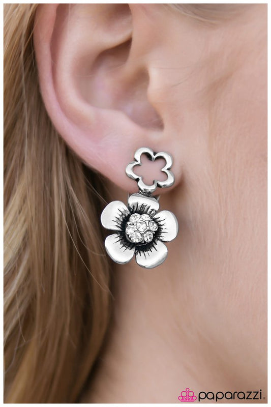 adventures-in-wonderland-p5co-wtxx-003xx