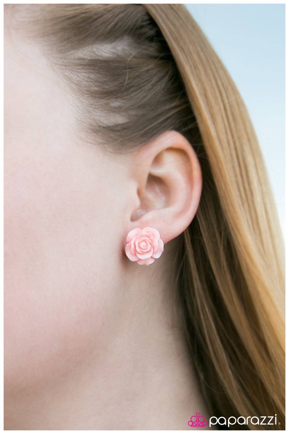 rose-garden-pink-p5po-pkxx-003xx