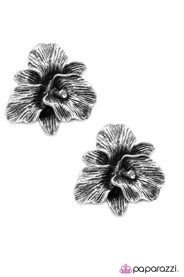 Paparazzi ♥ Hawaiian Princess - Silver ♥ Clip-On