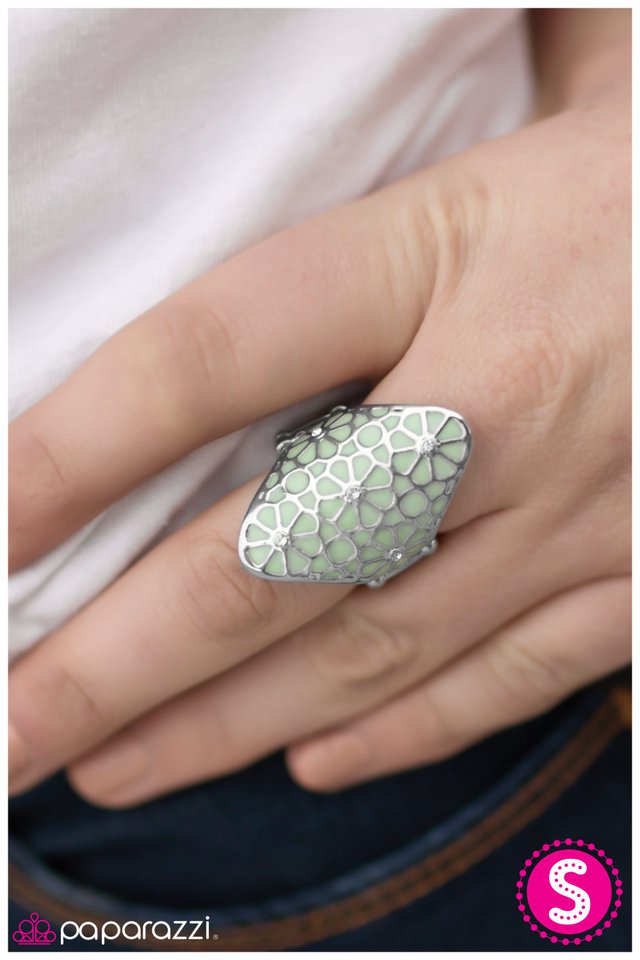 a-spring-spree-green-p4wh-grxx-060xx