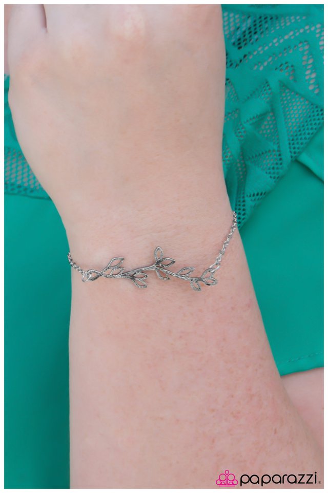 timber-silver-p9da-svxx-034hw