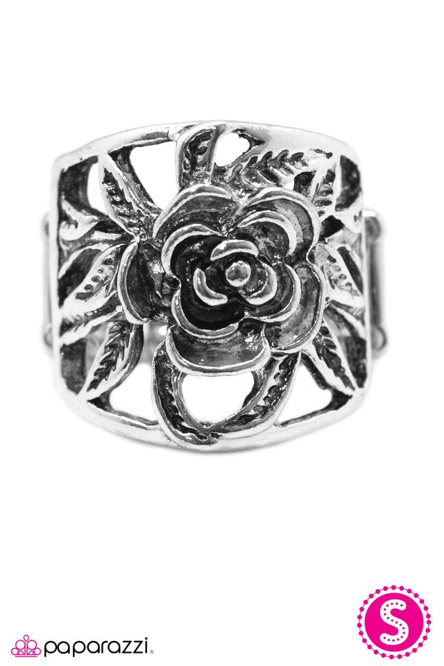 Paparazzi ♥ Budding BLOOMance - Silver ♥ Ring