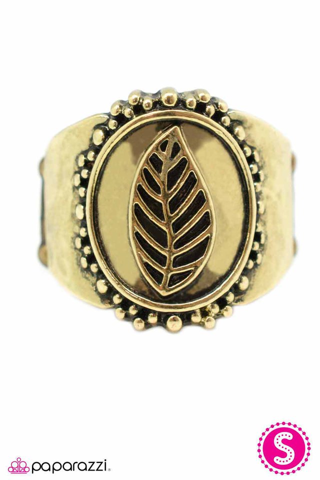 Paparazzi ♥ What a Re-LEAF - Brass ♥ Ring
