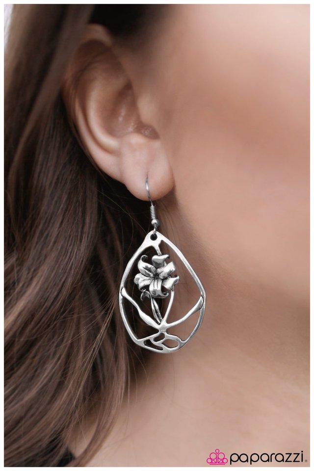 the-enchanted-rose-p5wh-svxx-048xx