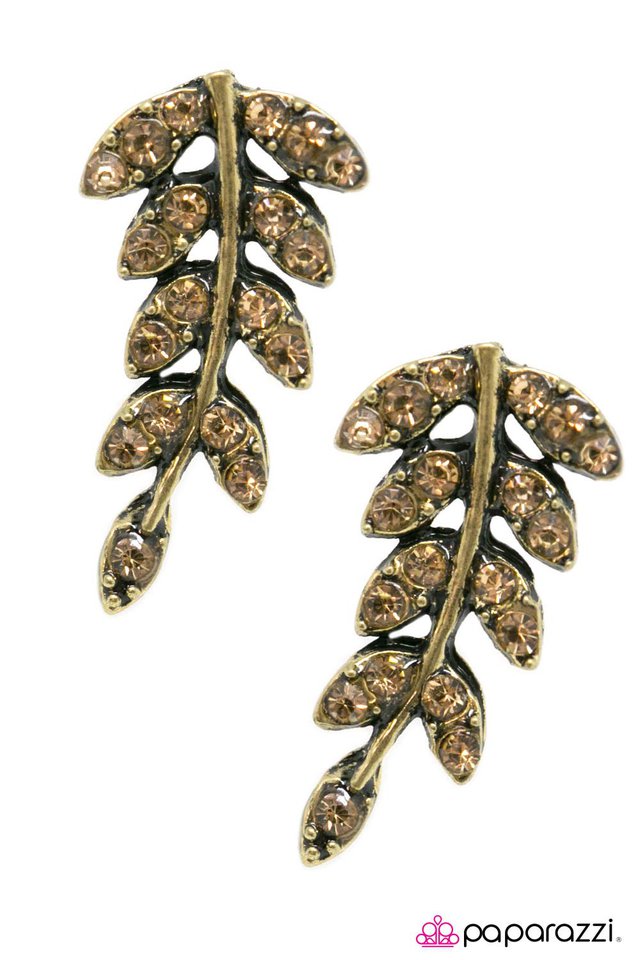 Paparazzi ♥ Lady Bountiful - Brass ♥ Post Earrings