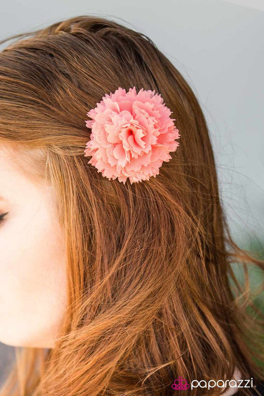 fruit-tart-orange-p7ca-ogxx-037xx