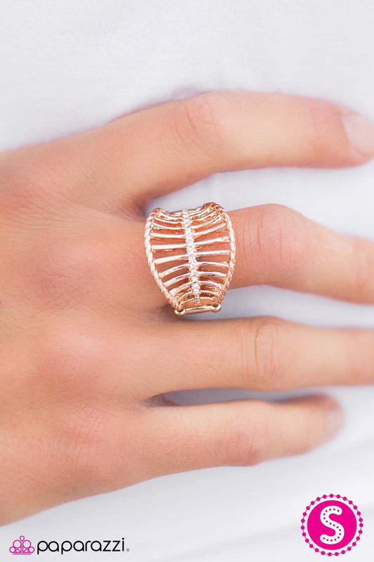 diamond-corsets-p4re-gdrs-060xx