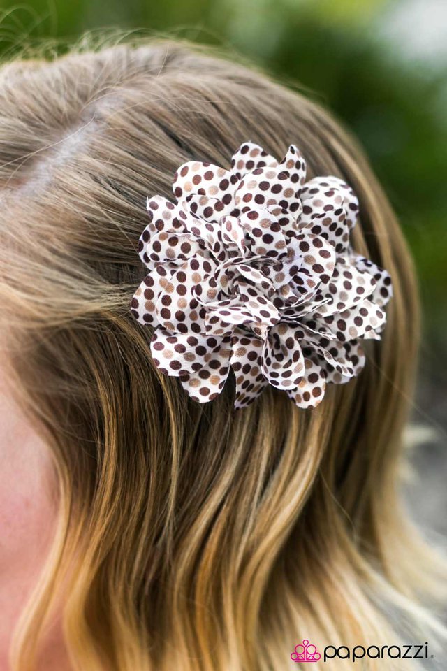 polka-party-brown-p7ca-bnxx-027xx