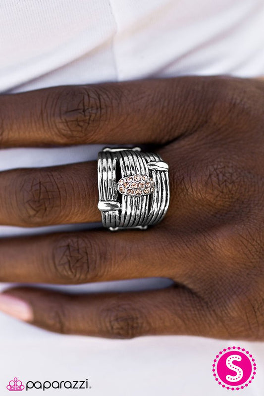 bold-ruler-brown-p4in-bnxx-020xx