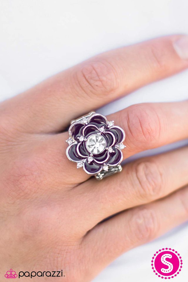 passion-flower-p4wh-prxx-078xx