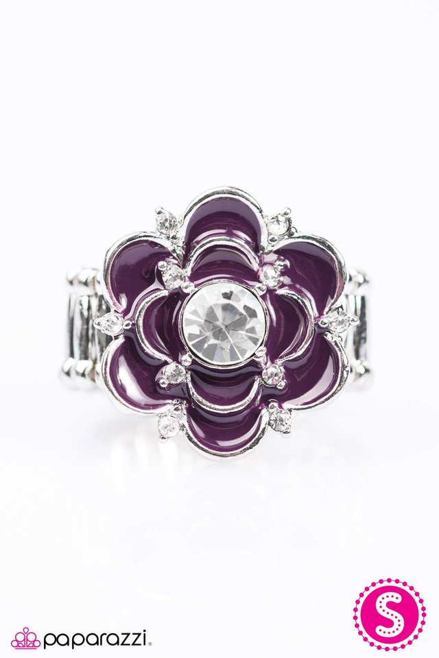 Paparazzi ♥ Passion Flower - Purple ♥ Ring