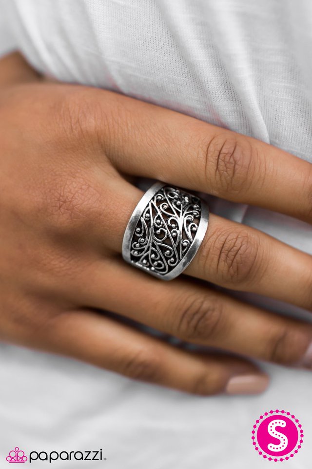 valley-vineyards-silver-p4wh-svxx-058xx