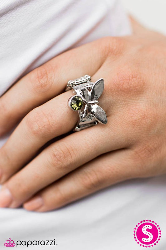 butterfly-fly-by-p4wh-grxx-064xx