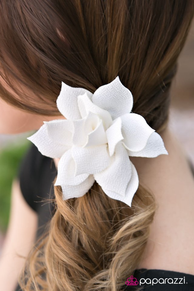 wild-orchid-white-p7ca-wtxx-035xx