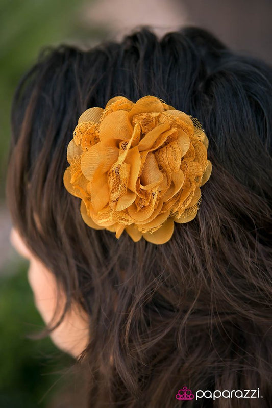 setting-the-tone-yellow-p7pr-ywxx-023xx