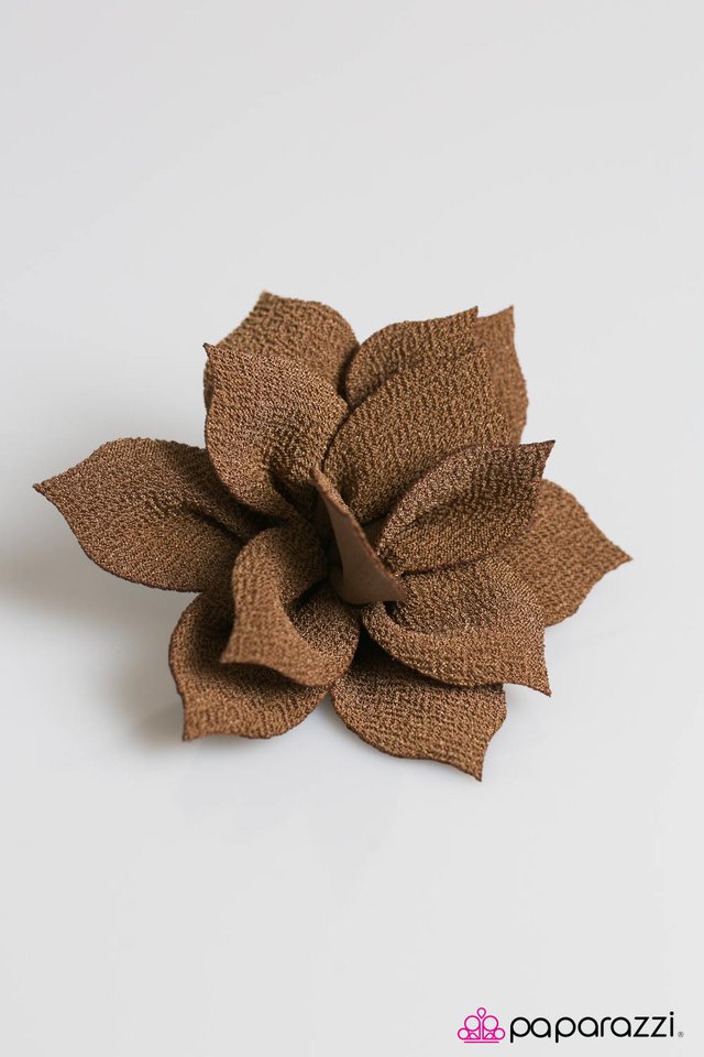 Paparazzi ♥ Wild Orchid - Brown ♥ Hair Clip