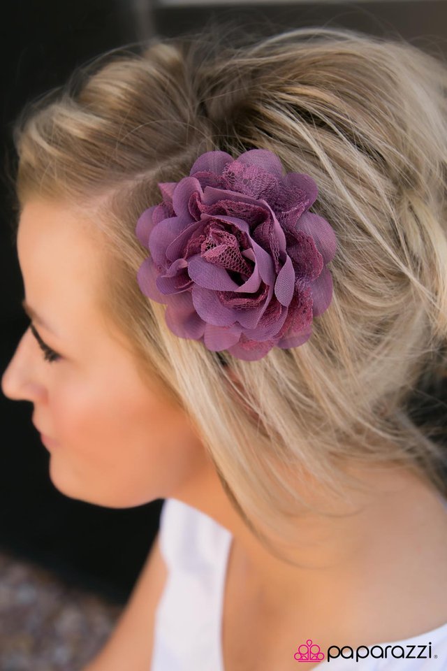 setting-the-tone-purple-p7ca-prxx-041xx