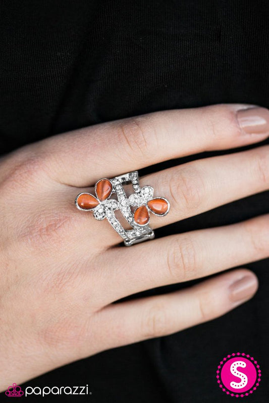 winging-in-the-new-year-orange-p4wh-ogxx-052xx