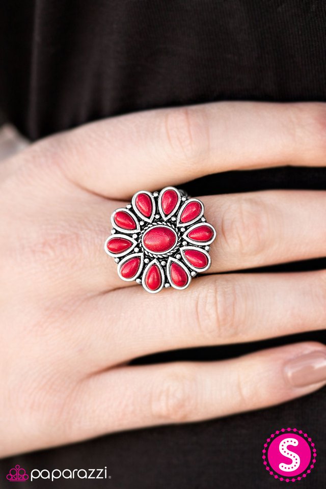 desert-daisy-red-p4se-rdxx-046xx