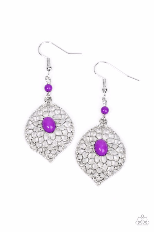 perky-perennial-purple-p5da-prxx-048xx