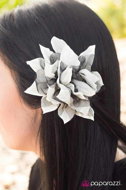 petal-pinnacle-p7ca-wtxx-049xx