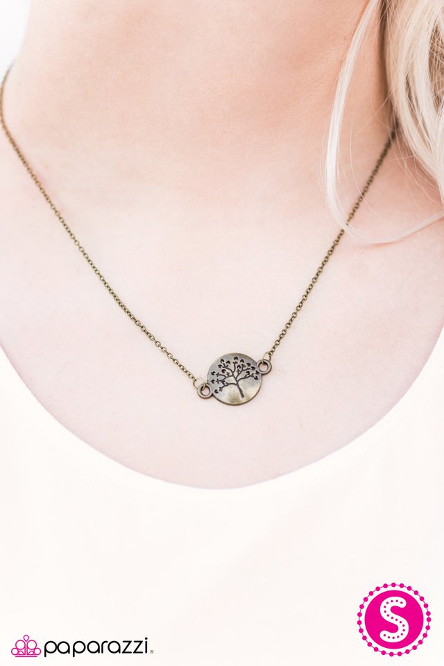 strong-roots-brass-p2da-brxx-048xx