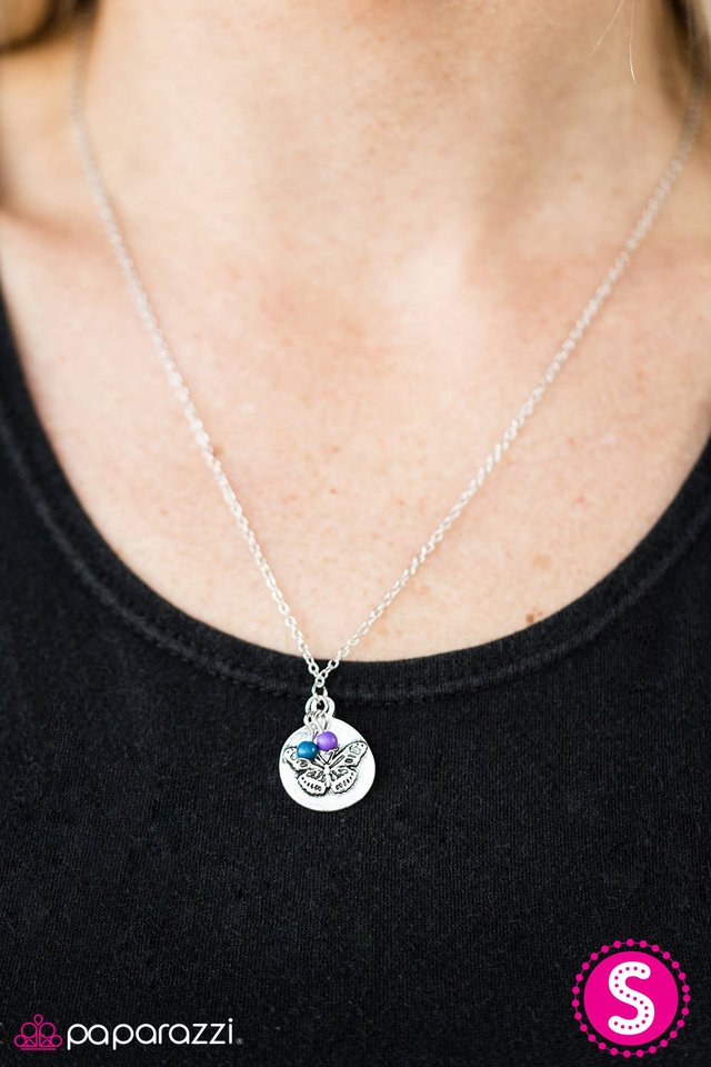 my-little-butterfly-multi-p2wh-mtxx-094xx