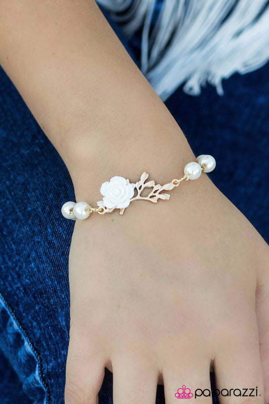 sugar-and-spice-white-p9wh-wtgd-093xx