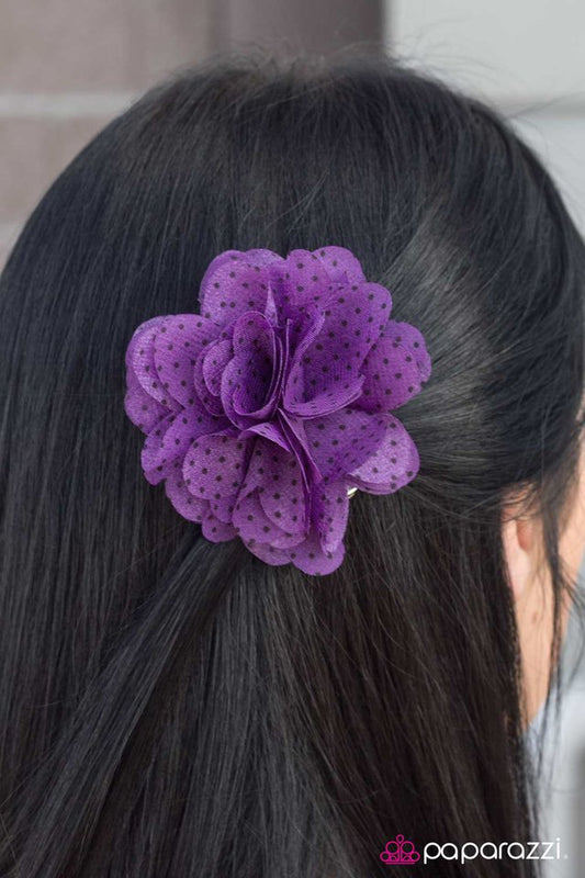 work-hard,-play-hard-purple-p7ca-prxx-047xx