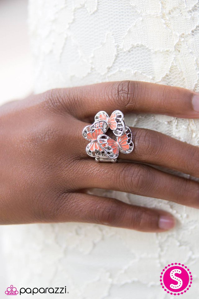 flight-song-orange-p4wh-ogxx-058xx