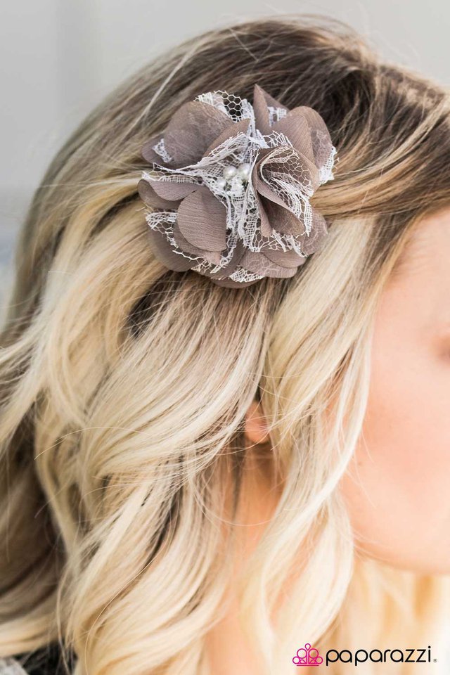 chantilly-lace-brown-p7pr-bnxx-030xx