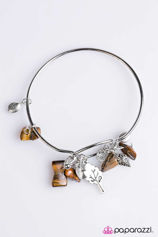 Paparazzi ♥ Grounded - Brown ♥ Bracelet