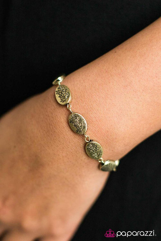 timber-timbre-brass-p9se-brxx-032xx