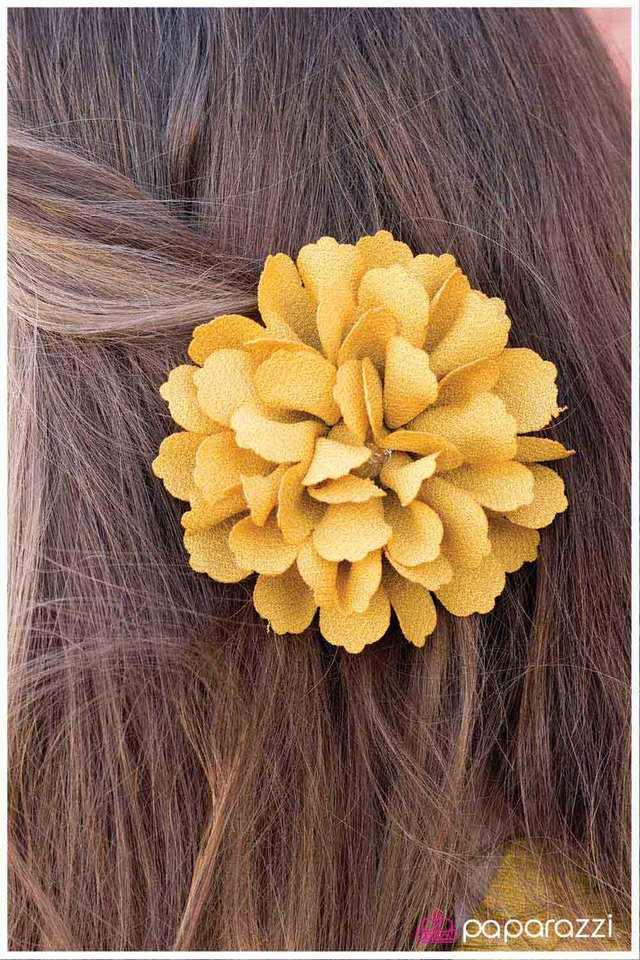once-in-a-golden-bloom-p7se-ywxx-001dk