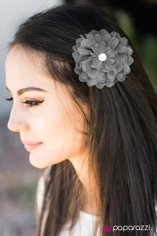 and-jill-came-tumbling-after-silver-p7ca-svxx-036xx