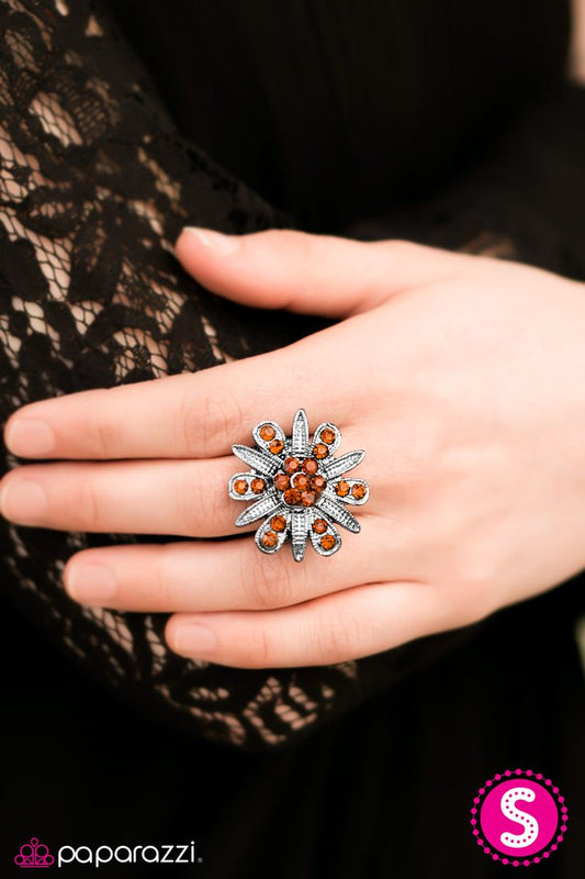 ignite-the-light-p4wh-bnxx-064xx