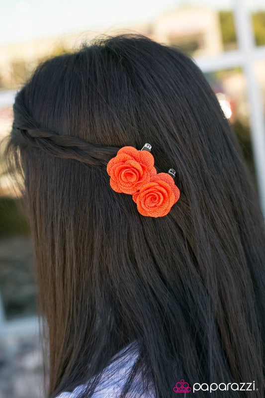garden-roses-p7ss-ogxx-032xx
