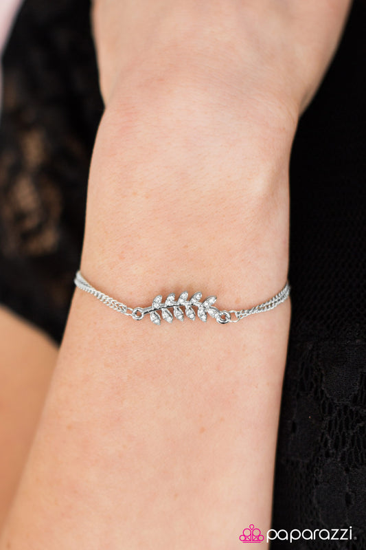 deep-roots-white-p9da-wtxx-057yh