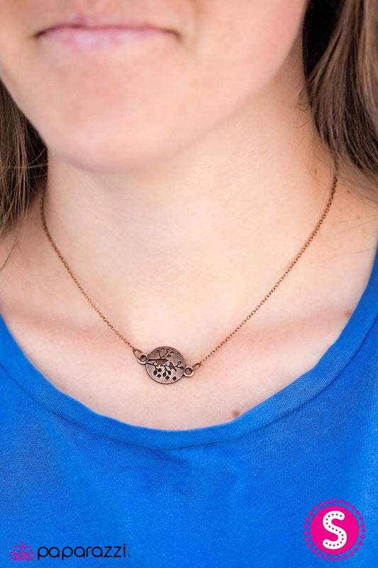 singing-in-a-sycamore-tree-p2da-cpxx-067xx