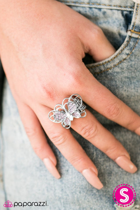 butterfly-banquet-purple-p4wh-prxx-099xx