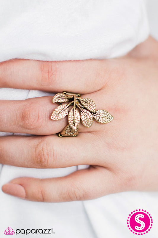 frosted-forest-brass-p4re-brxx-054xx