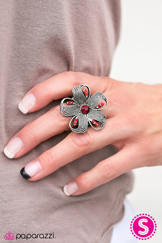 epiphany-red-p4wh-rdxx-064xx