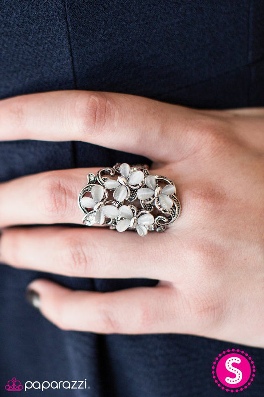 blooming-butterflies-white-p4wh-wtxx-075xx