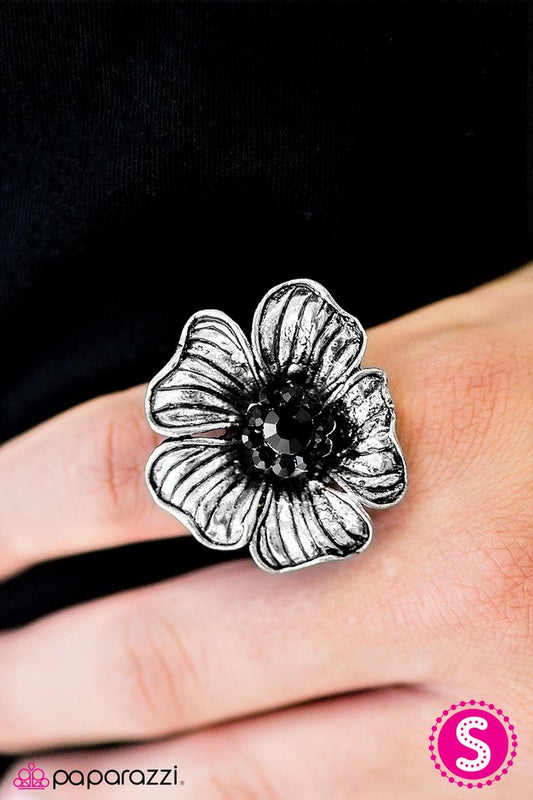 summer-vacation-black-p4wh-bkxx-049xx