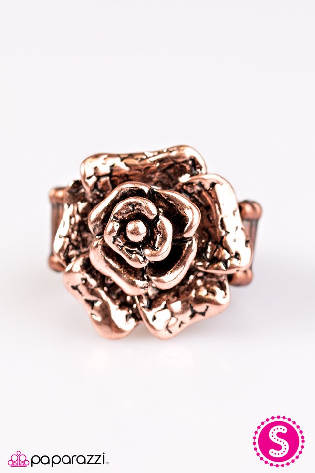 Paparazzi ♥ Garden Of Grandeur - Copper ♥ Ring