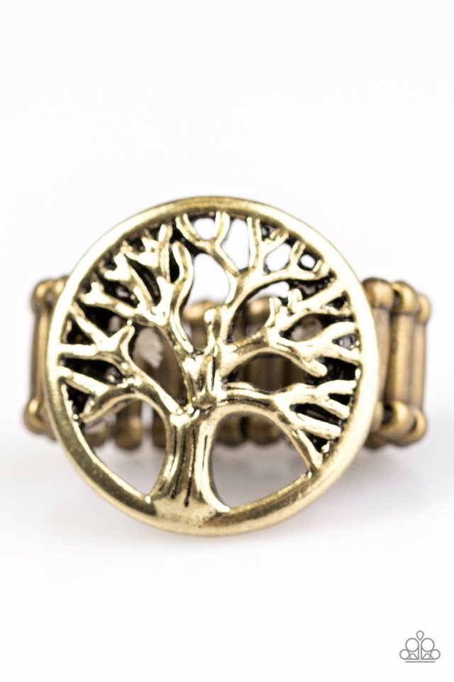 go-climb-a-tree-brass-p4se-brxx-034xx