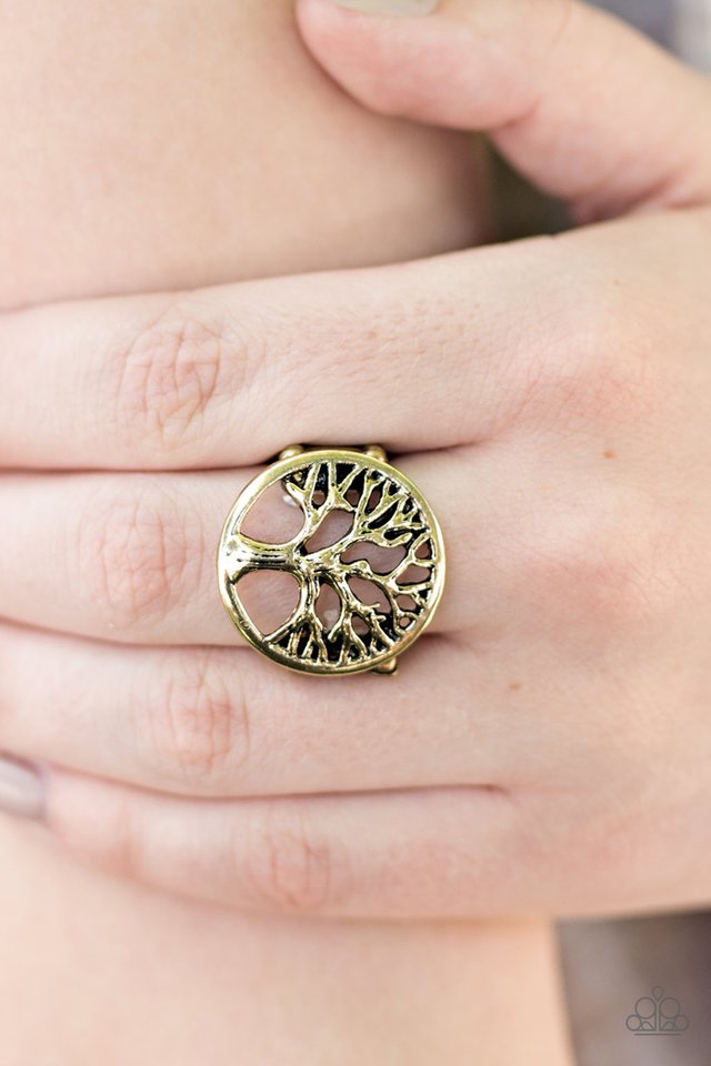 Paparazzi ♥ Go Climb A Tree - Brass ♥ Ring