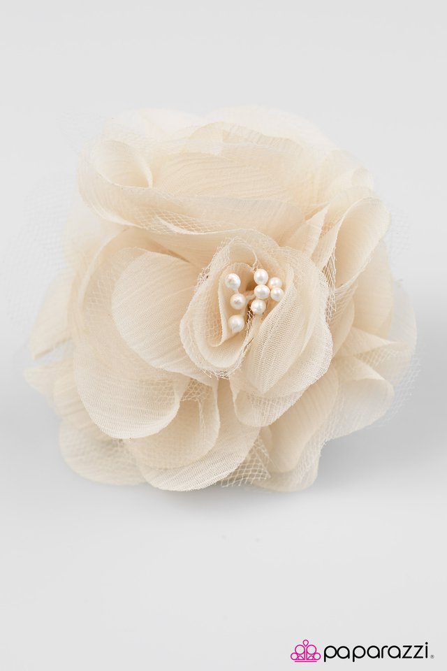 Paparazzi ♥ Tiger Lily - Brown ♥ Hair Clip