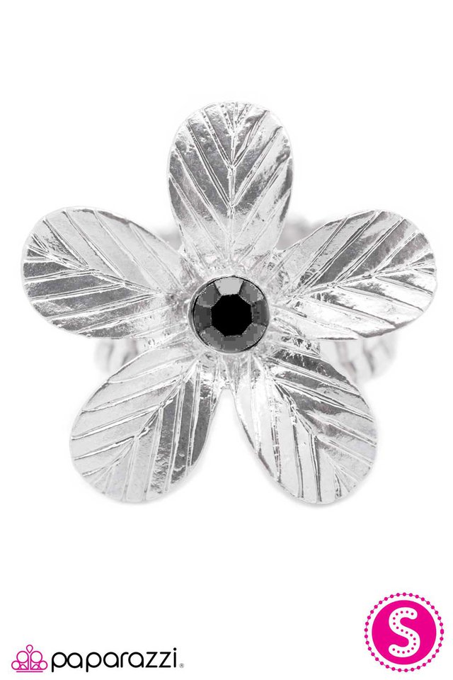 Paparazzi ♥ I Am an Island - Silver ♥ Ring